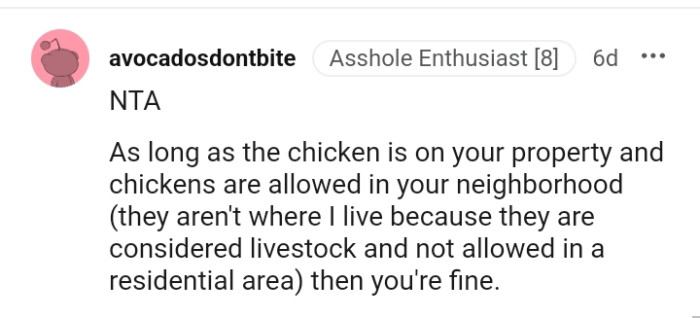 As long as the chicken is allowed in your neighborhood, you're good