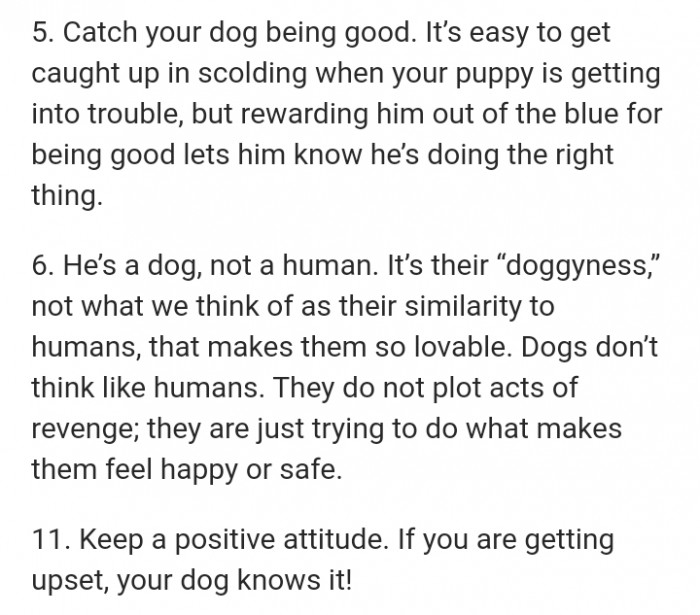 Catch your dog being good