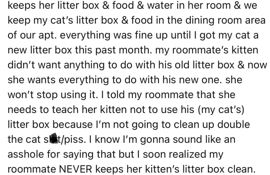 Frustrated Pet Parent Orders Roommate To Keep Her Kitten Away From