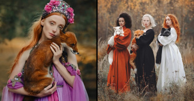 Stunning Portraits Featuring Three Foxes With Different Fur Colors Show The Diversity Of Wildlife Beauty