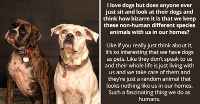 People Engage In A Philosophical Discussion About Why We Keep Dogs As Pets, And It Is Eye-Opening