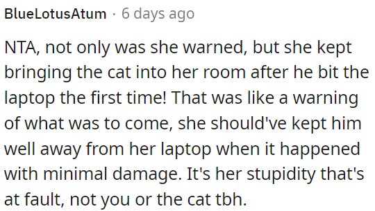 This was a clear warning, and the responsibility lies with the roommate, not the cat or OP.