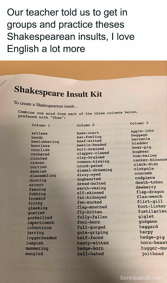 13. Shakespearean insult