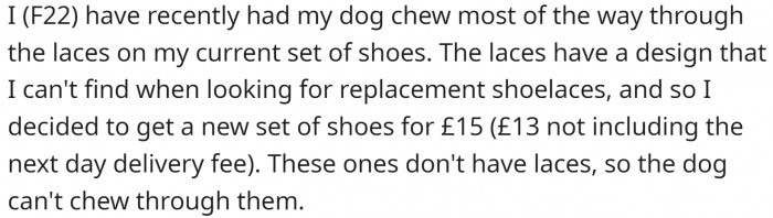 OP’s dog chewed through the laces on her shoes