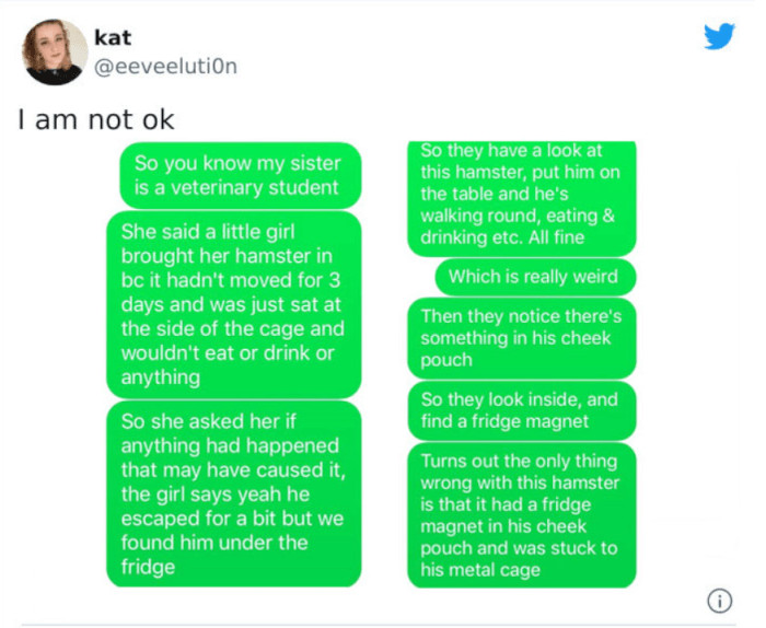 It's all the magnet's fault!