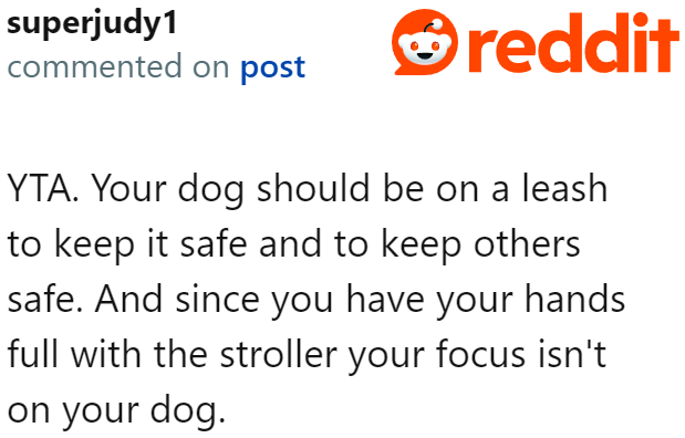 As you would expect, the OP got bombarded with criticisms from other dog owners.