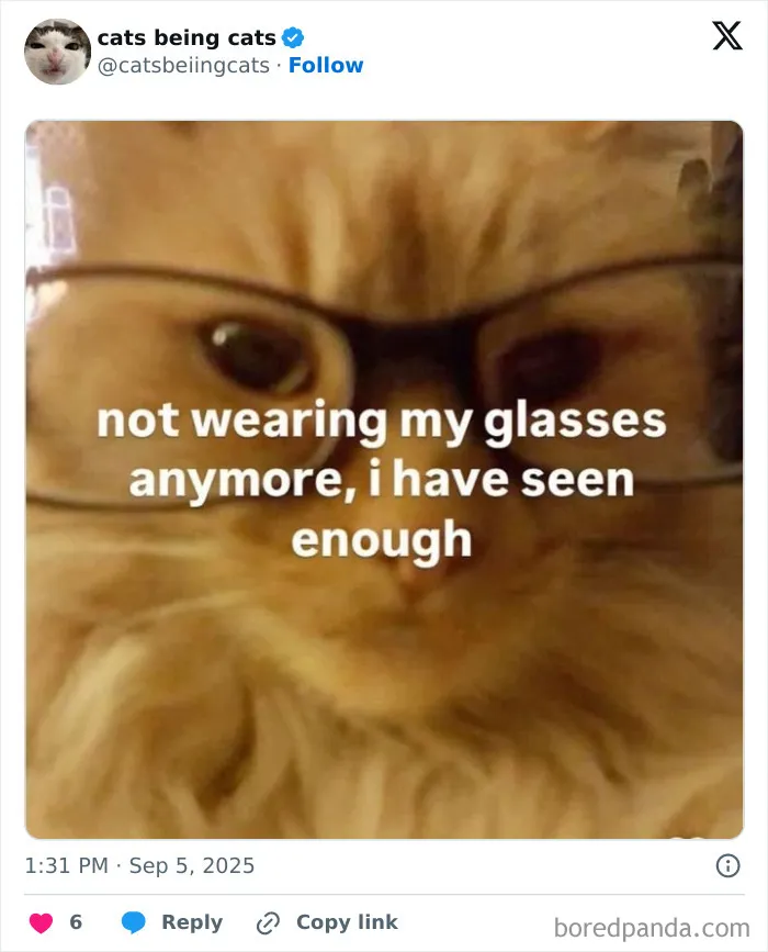 33. He’s seen the group chat drama and decided to retire.