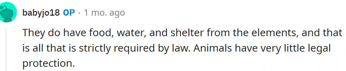 Animals have very little legal protection