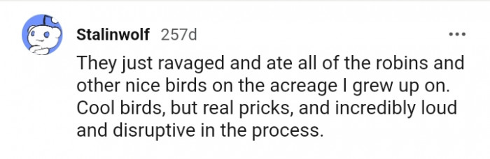 They ravaged and ate all the robins