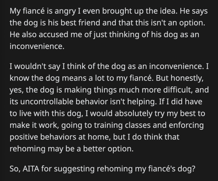 He got mad when OP brought up rehoming his dog and said it's not on the table. OP disagrees and thinks this is their best path moving forward, and it would be better for the dog as well.