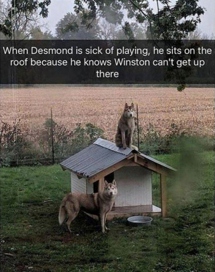 19. Reach me if you can