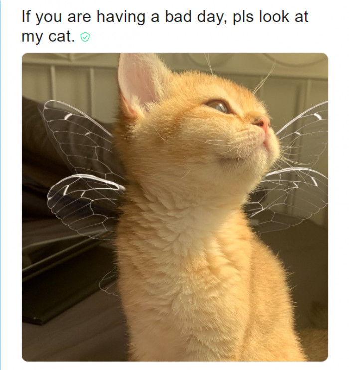 21. I never want to stop looking at her