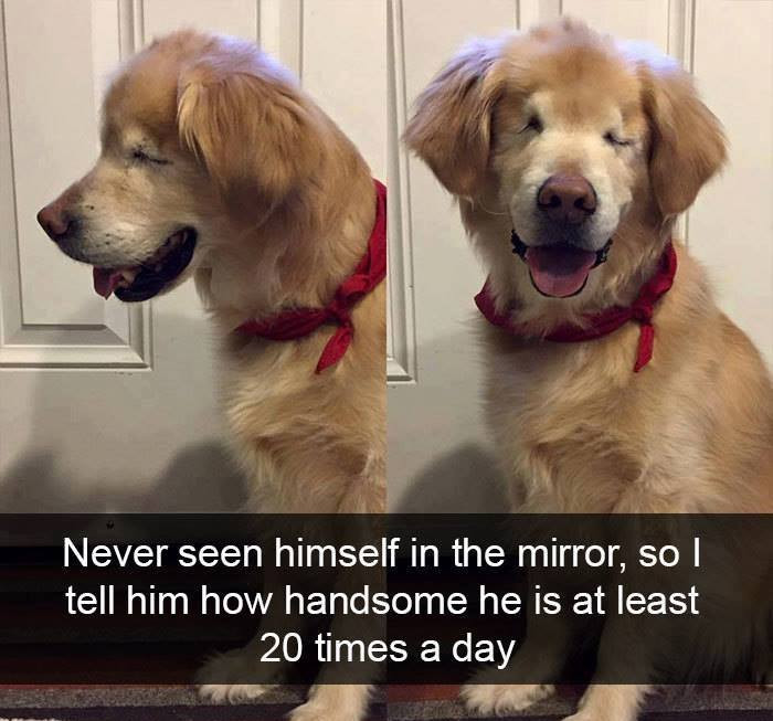 16.