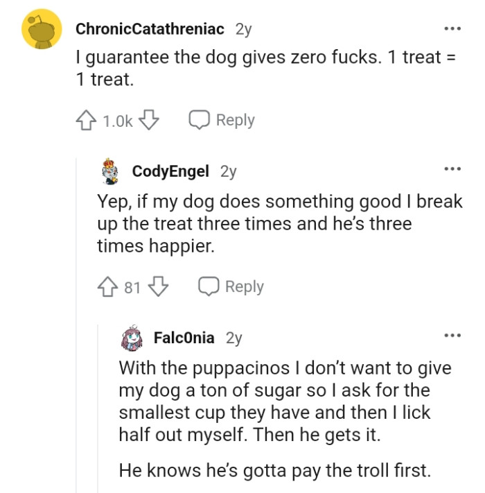 The dog doesn't even care