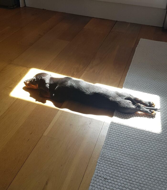 "Perfect Spot"
