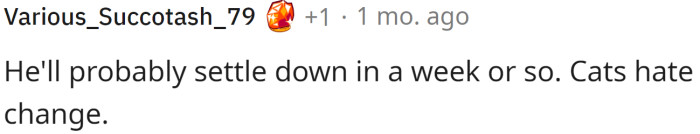 Cats hate changes...