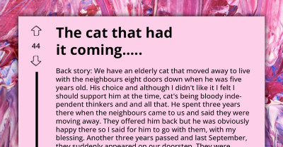 Cat Abandons Original Owners For Another Family Only To Be Returned Years Later, Starts Off Petty Revenge That Doesn't End Well