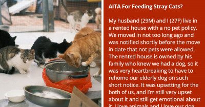 Man Threatens To Leave His Wife If He Catches Her Feeding Stray Cats Because They Live In A No-Pet Rental For Which They Had To Give Up Their Dog