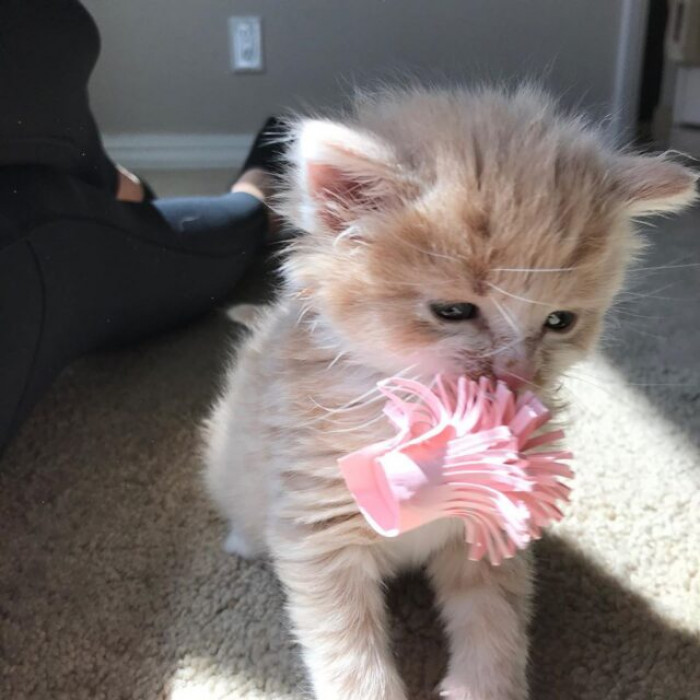 He was having the time of his life