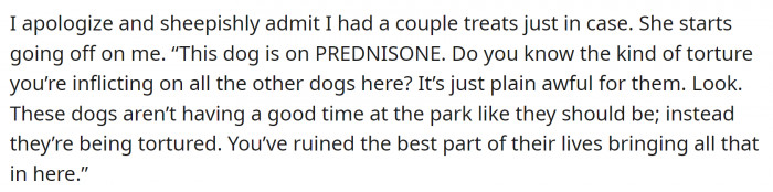 Karen started accusing OP of torturing all dogs in the park and ruining the best parts of their lives.