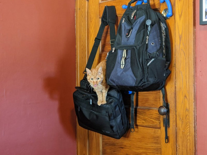 Disaster happens a few Sundays later