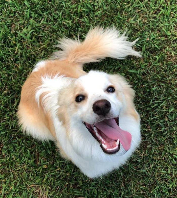 13. "My little guy's infectious smile."