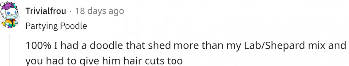 And it can be unpleasant for the dog.