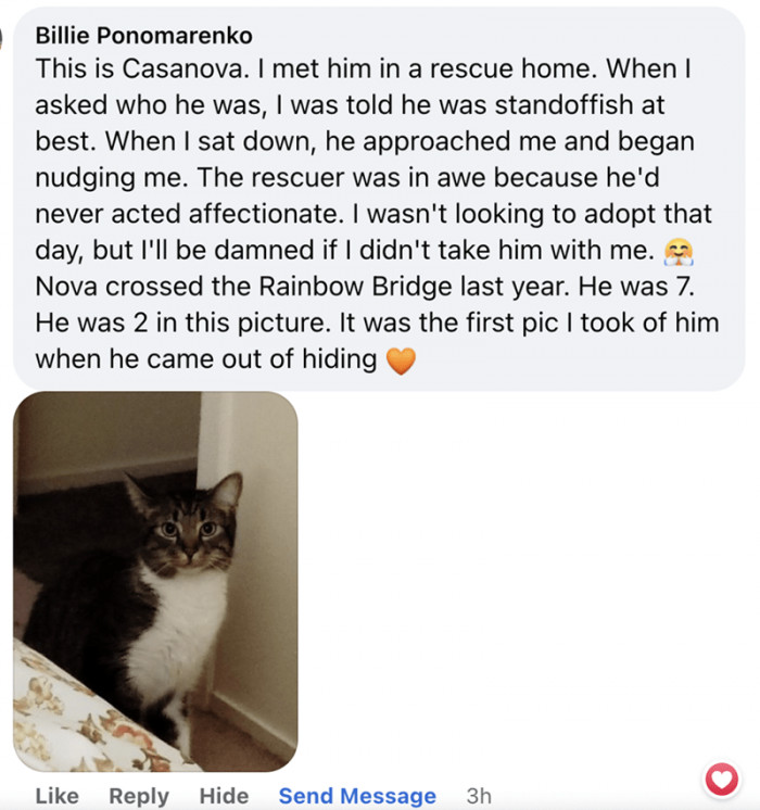 8. Casanova adopted his human, not the other way around.