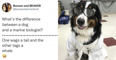 21 Photos That Remind Us Just How Important and Essential Cats and Dogs Really Are in Our Lives