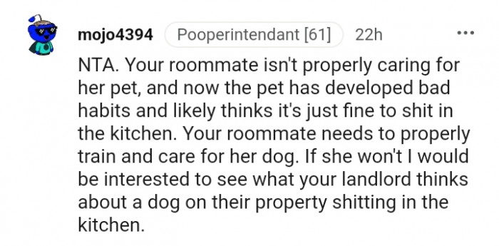 She needs to properly care for and train her dog.