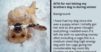 Pet Owner Faces Family Criticism Over Refusal To Let His Brother's Dog Share Cage With Their Dog