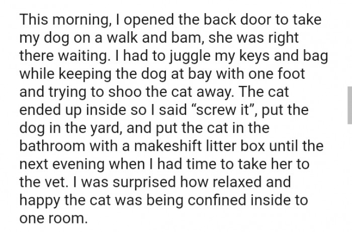 The cat was happy to be confined inside one room