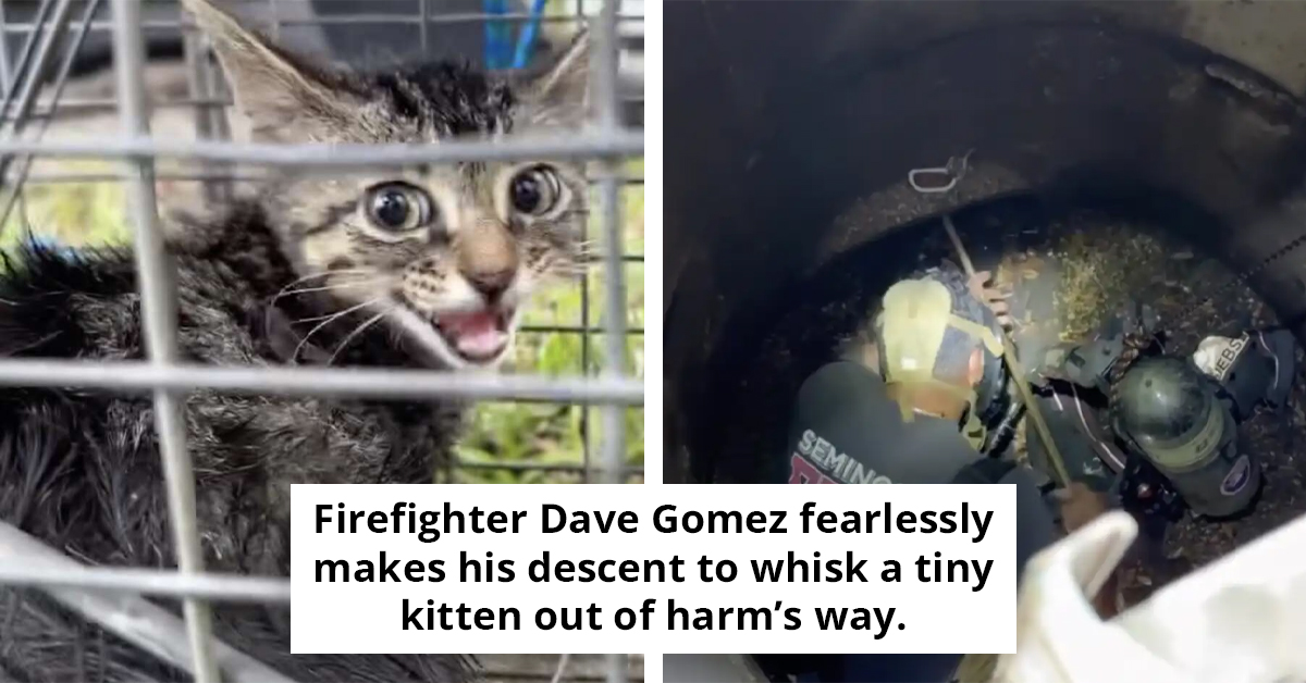 Watch As Heroic Firefighters Race Against Time To Save Trapped Kitten Moments Before Raging Storm Strikes