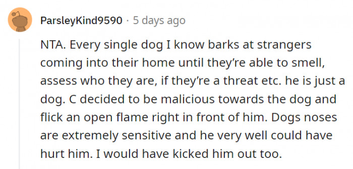 13. One single flame too near could have badly hurt the dog