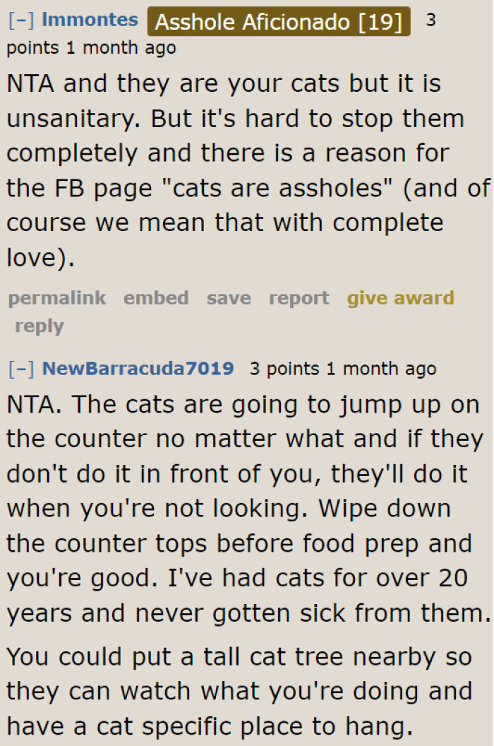 He needs to give the cats a spot where they can jump. He needs to stop encouraging his kitties to do unsanitary things.