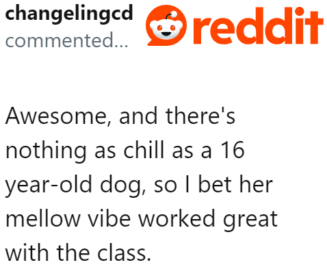 Senior dogs are so chill, and it was probably why the kids at school had a blast with the OP's dog.