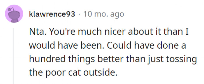 20. She could have just taken the cat back or told them she couldn't take her instead of basically throwing her out there
