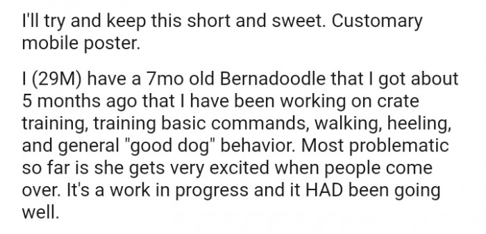 Most problematic so far is she gets very excited when people come over