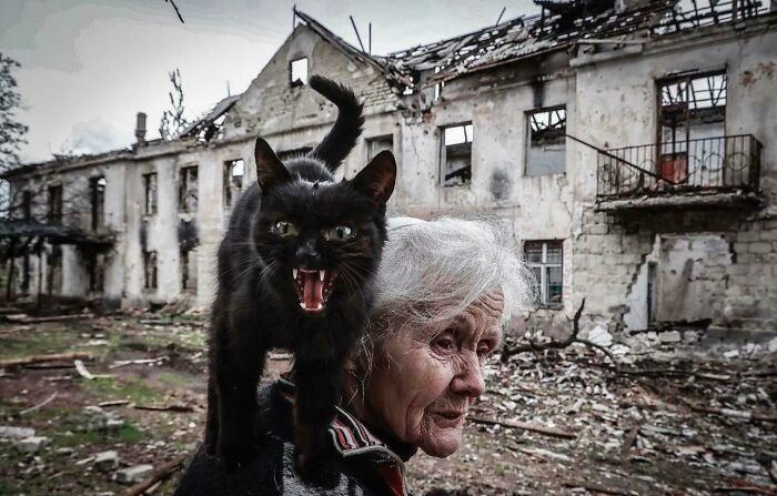 39. Feline in Ukraine keeping all the enemies away from her human.