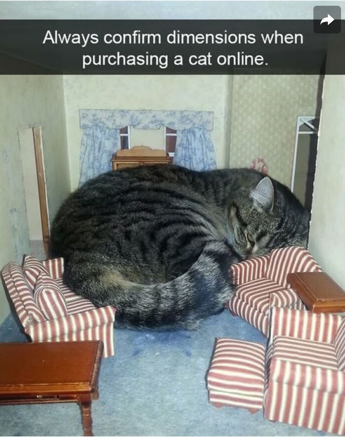 4. Always Confirm Before You Make the Purchase