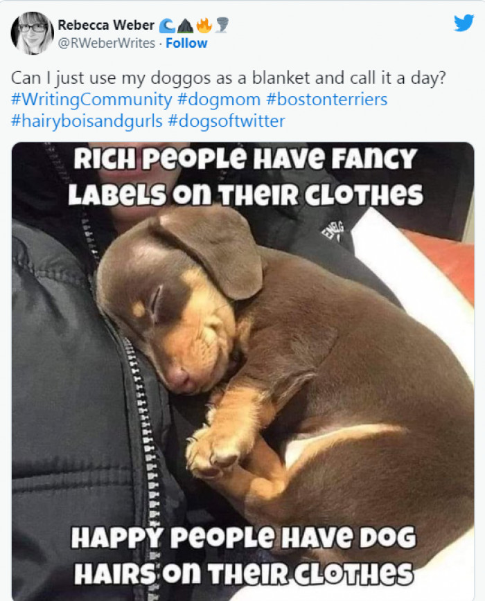 8. Dogs can make anyone look good.