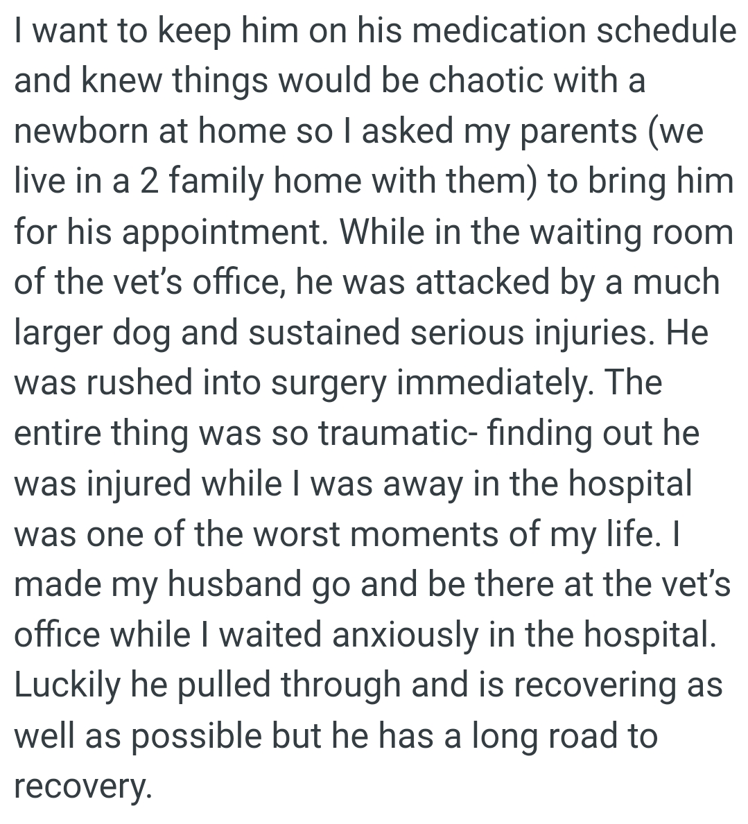 OP's Dog Was Attacked by a Much Larger Dog and Sustained Serious Injuries
