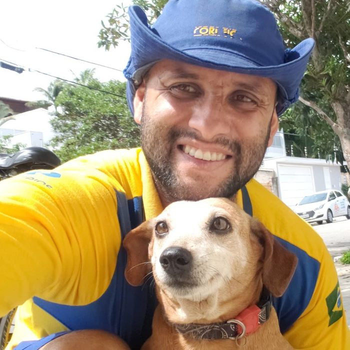 29. This pup looks like a sweet old dog