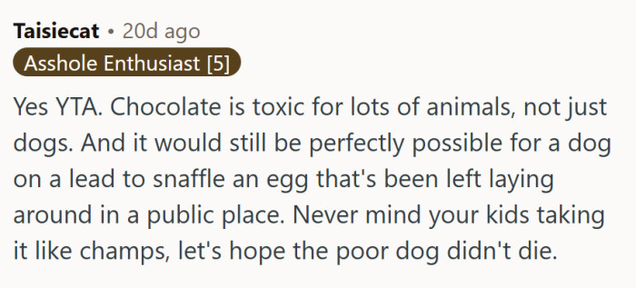 Chocolate is toxic for lots of animals, not just dogs.