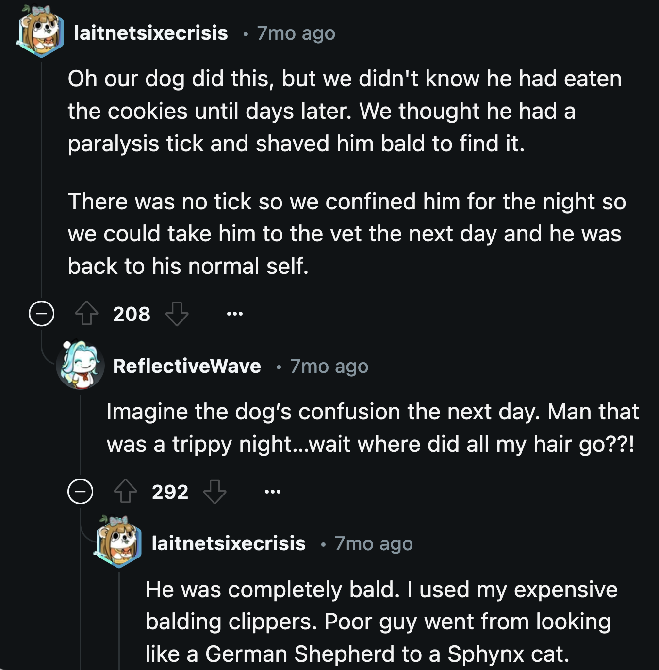 This dog had a particularly bad trip. He ate magical cookies and woke up without fur.