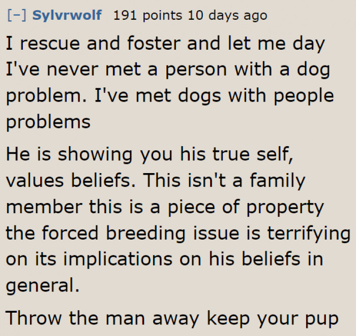 Dogs Should Be Treated as Family Members, Not as Property.