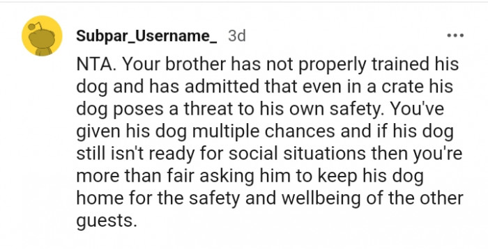 You Have Given His Dog Multiple Chances