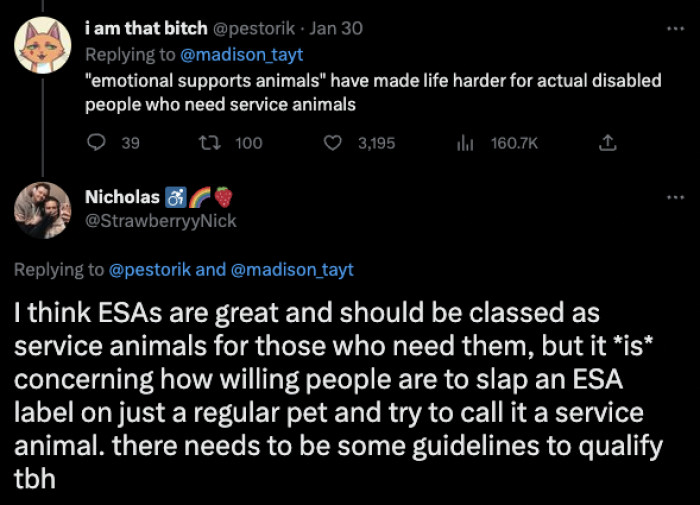 An argument against people misusing the term ‘Emotional Support Animal.’