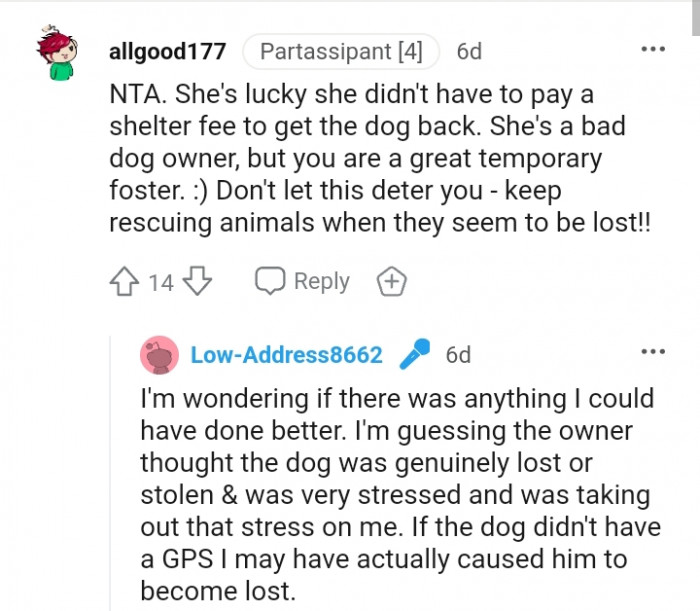 She Is a Bad Dog Owner