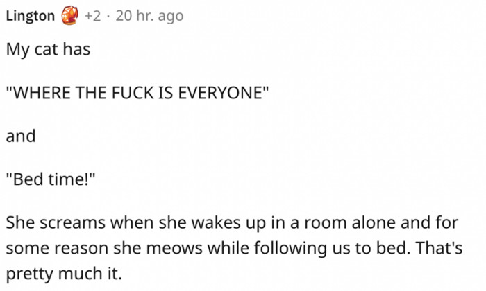 5. Two meows in the vocabulary